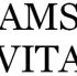 Samsung-Vita-OS 7070_20100121.jpg